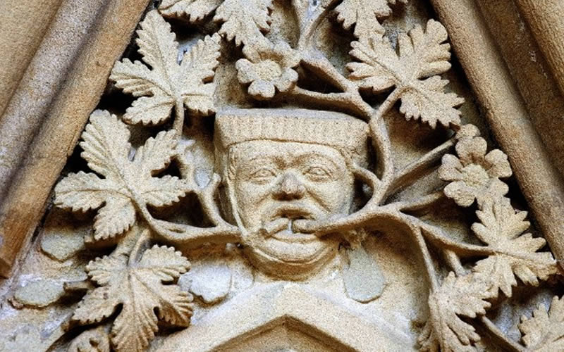 Leaves of Southwell stone carvings