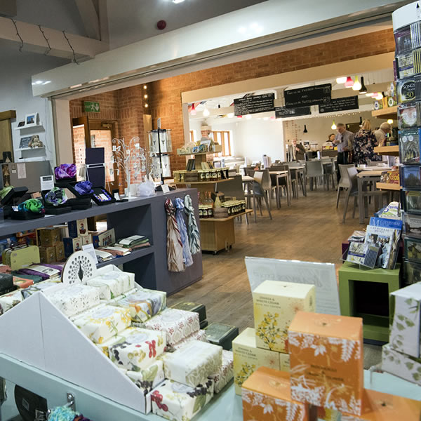 Cafe and Shop