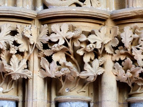 Leaves of Southwell stone carvings