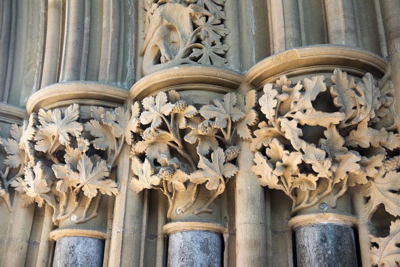 Leaf carvings at the Chapter House. Southwell Minster-