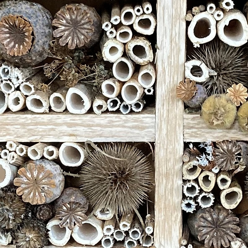 Bug Hotel detail