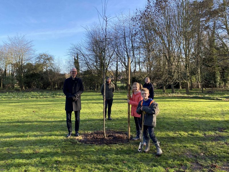 11: Tree planting