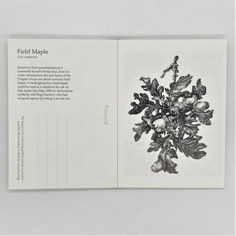 postcard book 2