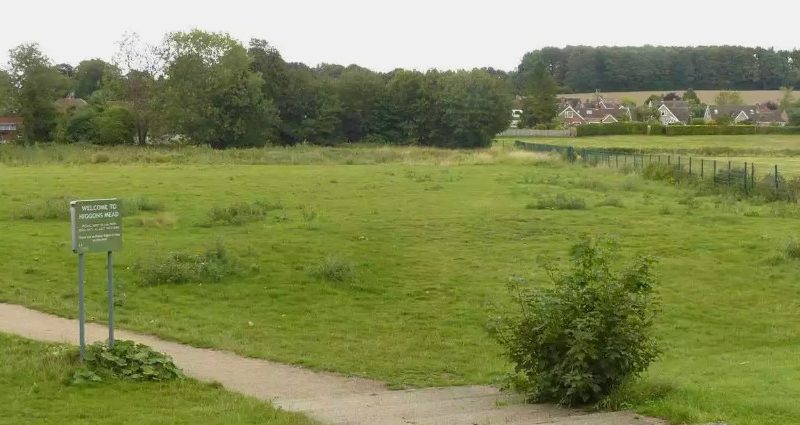 Southwell Flood Project – Clearance works